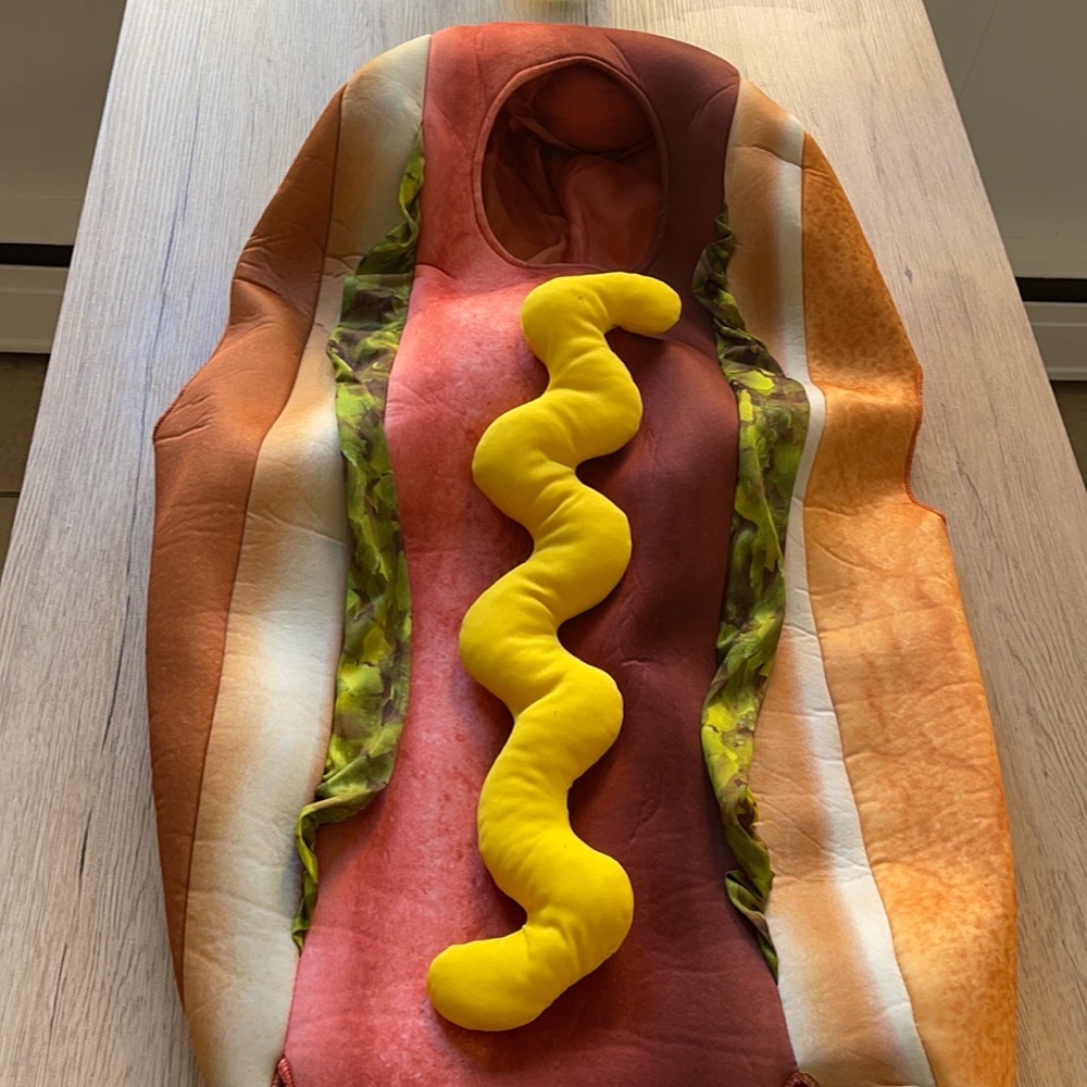 Kids hot dog costume. Worn once. In great condition. Tag- one size fits most